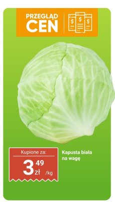 Kapusta promocja w Dino