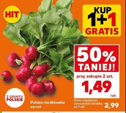 Rzodkiewka promocja