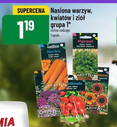 Nasiona majeranek Garderin promocja