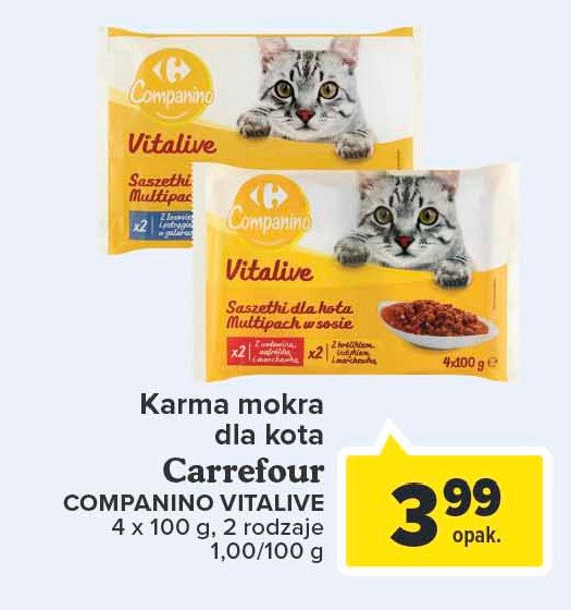 Karma dla kotow z wołowiną CARREFOUR COMPANINO promocje