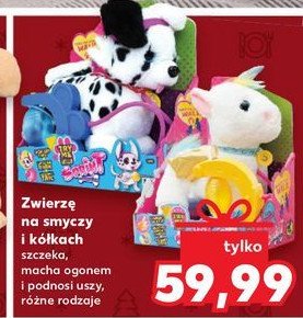 Zwierzę na smyczy i kółkach promocja w Kaufland