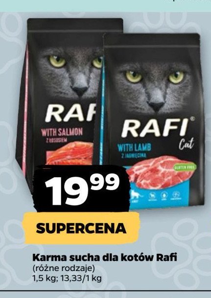 Karma dla kota z jagnięcina Rafi cat promocja w Netto