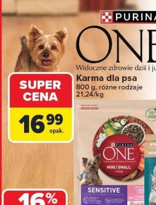 Karma dla psa promocja w Carrefour