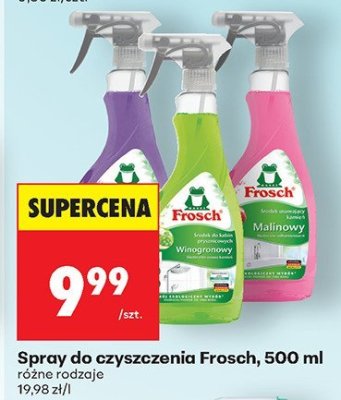 Spray do czyszczenia Frosch, 500 ml promocja w Biedronka
