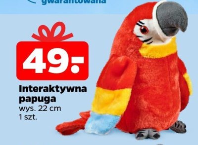 Interaktywna papuga 22 cm promocja w Netto