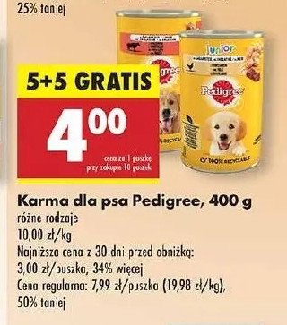 Karma dla psa z kurczakiem w galaretce Pedigree promocja