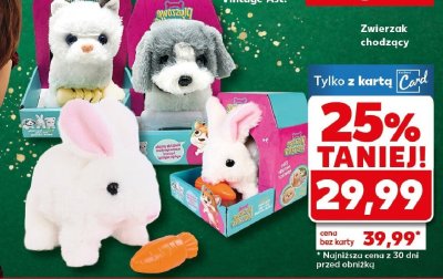 Maskotka Zwierzak chodzący promocja w Kaufland