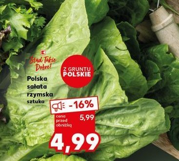 Sałata rzymska polska K-classic stąd takie dobre! promocja