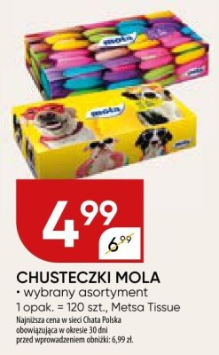 Chusteczki Mola promocja w Chata Polska