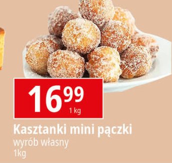 Kasztanki promocja w Hitpol