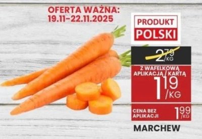 Marchew promocja w Wafelek