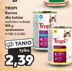 Karma dla kota z rybą promocja