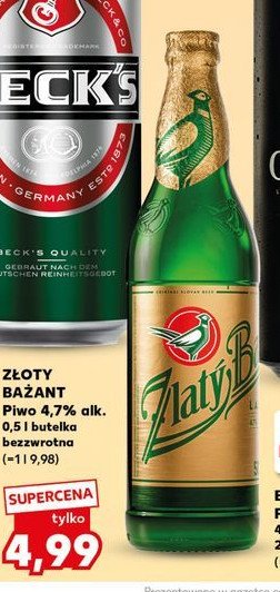 Piwo Z艂oty ba偶ant promocja
