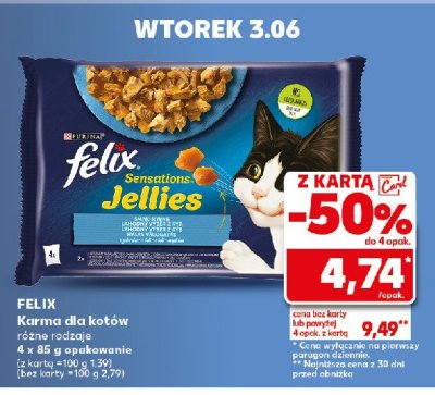 Karma dla kota rybne smaki w galaretce promocja