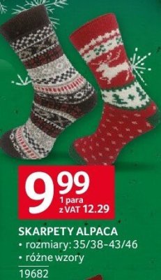 Skarpety Alpaca promocja w Selgros