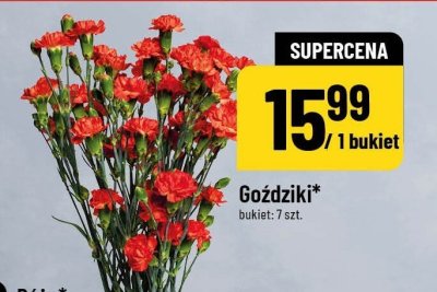 Goździki 7 szt. promocja w POLOmarket