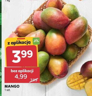 Przekąska mango w mlecznej czekoladzie Bob snail promocja w Stokrotka