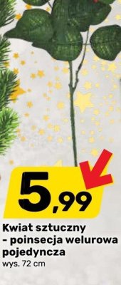 Kwiat sztuczny - poinsecja welurowa pojedyncza promocja w Bricomarche