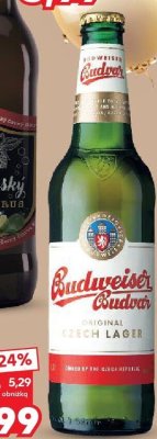 Piwo Budveiser Budvar promocja w Kaufland