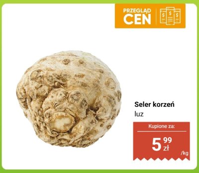 Seler korzeń luz promocja w Biedronka