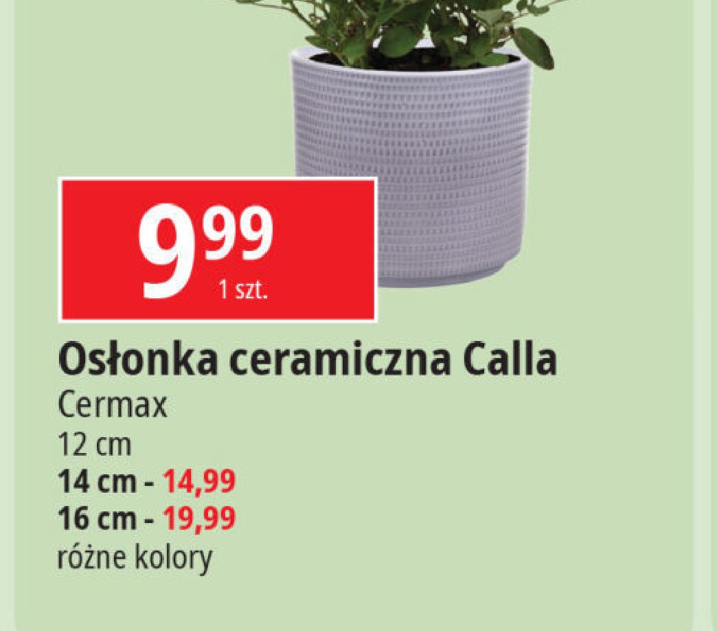 Osłonka cylinder calla 14 cm Cermax promocja