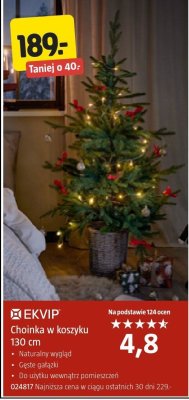 Choinka w koszyku EKVIP 130 cm promocja w Jula