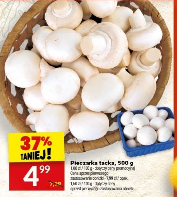 Pieczarka tacka, 500 g promocja w Twój Market
