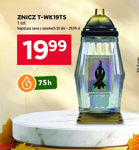 Znicz t-wk19ts promocja