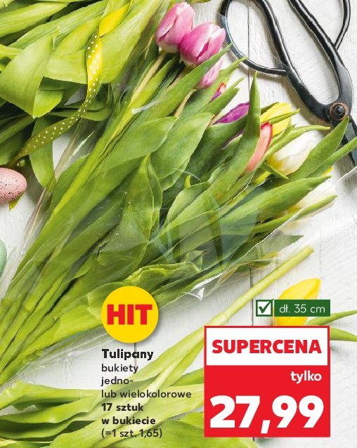 Tulipany 35 cm promocja