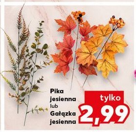 Pika jesienna promocja