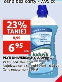 Płyn do mycia glazury, terakoty i pcv morska bryza Ludwik promocja