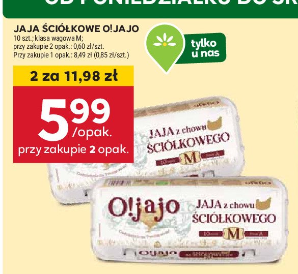 Jaja kl. m O!JAJO promocja w Stokrotka