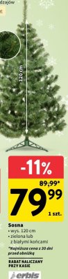Choinka Sosna 120 cm promocja w Intermarche