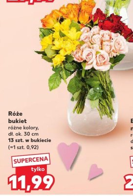 Róże bukiet różne kolory promocja w Kaufland