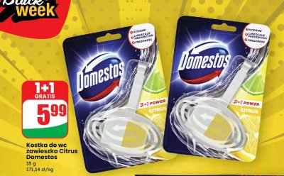 Kostka do wc zawieszka Citrus Domestos promocja w Dino