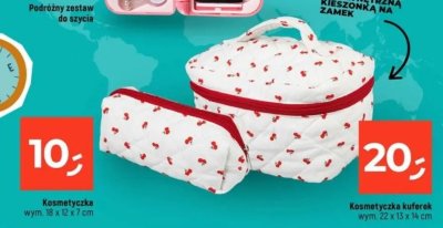 Kosmetyczka kuferek wym. 22 x 13 x 14 cm promocja w Dealz