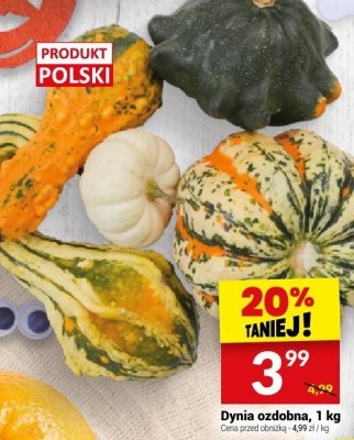 Dynia promocja w Tw贸j Market