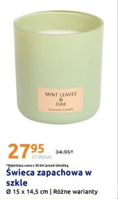 Świeca zapachowa w szkle promocja w Action