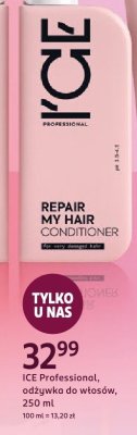 ICE Professional, odżywka do włosów, 250 ml promocja w Rossmann