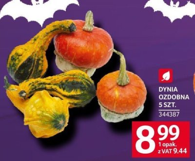 Dynia promocja w Selgros
