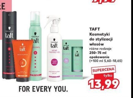 Żel do włosów Taft looks maxx promocja w Kaufland