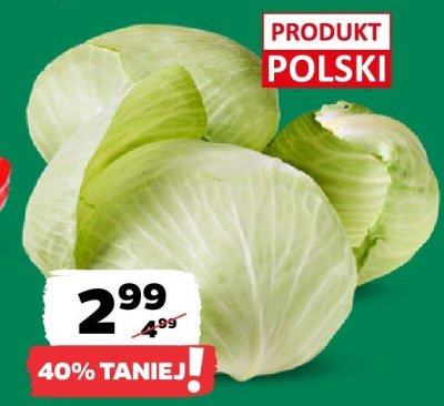 Kapusta gołąbkowa promocja w Netto
