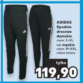 Spodnie dresowe męskie Adidas promocja