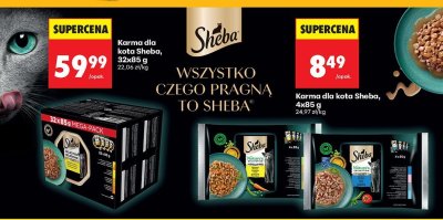 Gazetka, Z ladą tradycyjną, strona 79 promocja w Biedronka