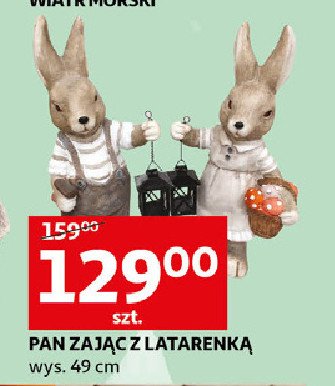 Zaj膮c z latarenk膮 promocja