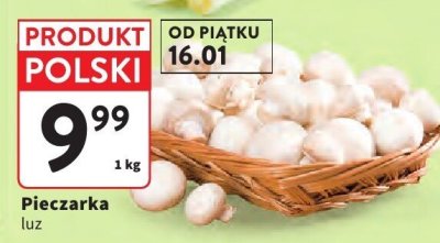Pieczarka luz promocja w Intermarche