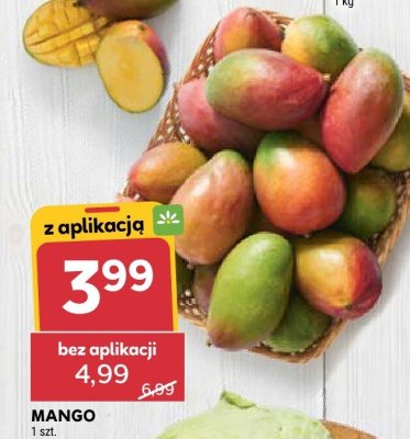 Mango promocja w Stokrotka