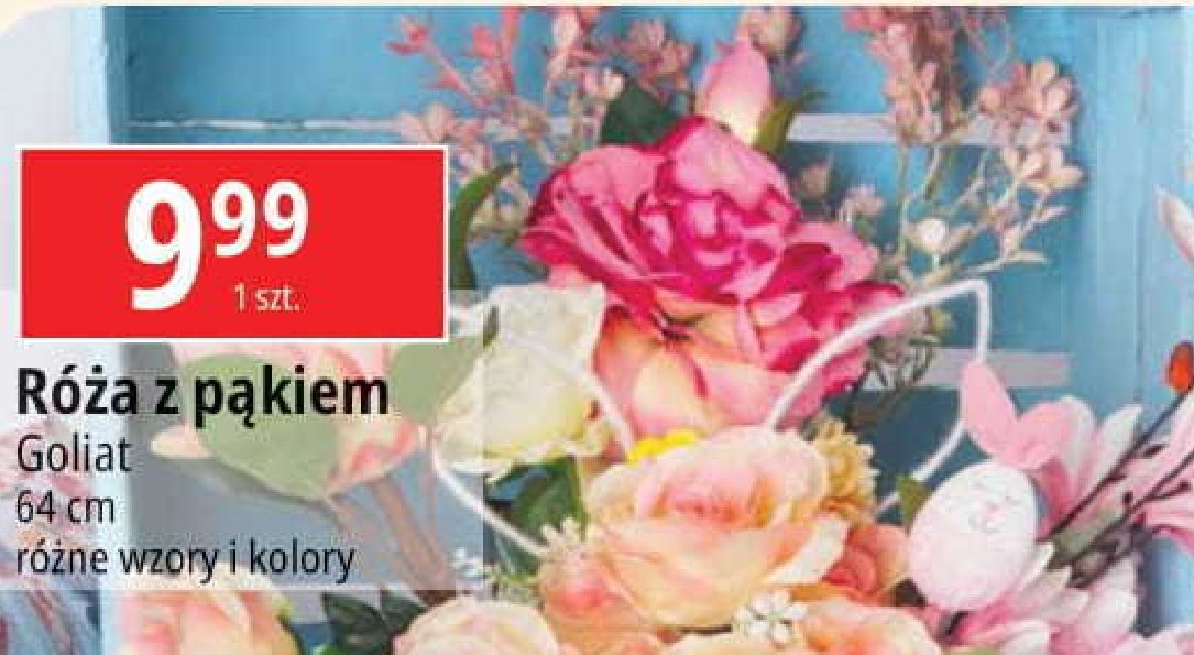 R贸偶a z p膮kiem Goliat promocja
