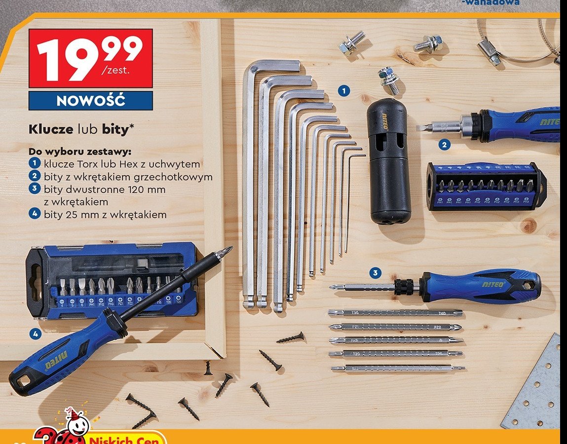 Bity 25 mm z wkrętakiem Niteo tools promocja