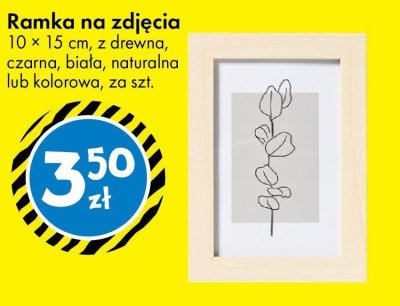 Ramka na zdjęcia 10 × 15 cm z drewna czarna biała naturalna lub kolorowa promocja w Tedi